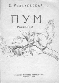 Пум - Радзиевская Софья Борисовна (читать онлайн полную книгу TXT) 📗