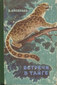 Встречи в тайге - Арсеньев Владимир Клавдиевич (книги онлайн txt) 📗