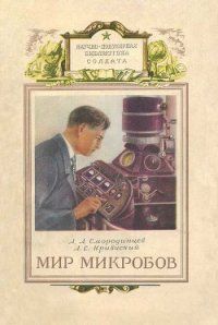 Мир микробов - Смородинцев Анатолий Александрович (читать полностью бесплатно хорошие книги TXT) 📗