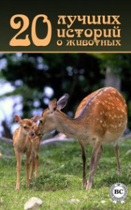 20 лучших историй о животных - Коллектив авторов (читать книги онлайн бесплатно без сокращение бесплатно txt) 📗