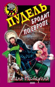 Пудель бродит по Европе - Нестерина Елена Вячеславовна (читать полные книги онлайн бесплатно TXT) 📗
