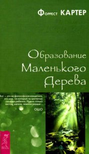 Образование Маленького Дерева - Картер Форрест (электронную книгу бесплатно без регистрации TXT) 📗