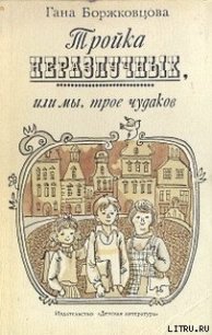 Тройка неразлучных, или Мы, трое чудаков - Боржковцова Гана (книги онлайн полные txt) 📗