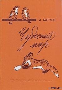 Чудесный мир - Батуев Андрей Михайлович (читать книги полностью без сокращений бесплатно TXT) 📗