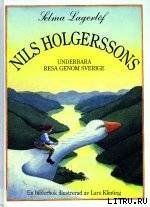 Nils Holgerssons underbara resa genom Sverige - Lagerlof Selma Ottiliana Lovisa (бесплатная регистрация книга TXT) 📗