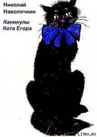 Каникулы кота Егора - Наволочкин Николай Дмитриевич (мир книг .TXT) 📗