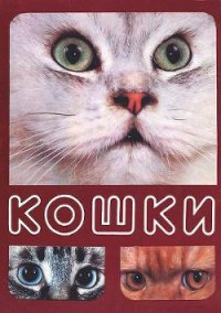 Кошки - Непомнящий Николай Николаевич (читать книги онлайн без регистрации TXT) 📗