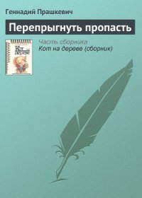 Перепрыгнуть пропасть - Прашкевич Геннадий Мартович (книги онлайн бесплатно без регистрации полностью .TXT) 📗