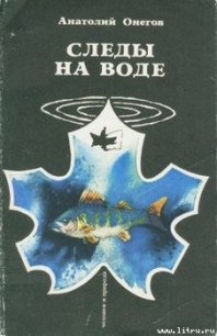 Следы на воде - Онегов Анатолий Сергеевич (книги без регистрации TXT) 📗