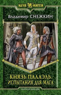 Испытания для мага - Снежкин Владимир (список книг .TXT) 📗