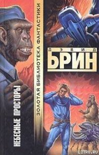 Небесные просторы - Брин Дэвид (читать книги онлайн бесплатно полные версии TXT) 📗