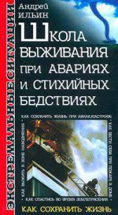 Школа выживания при авариях и стихийных бедствиях - Ильин Андрей (книги онлайн полностью бесплатно .txt) 📗