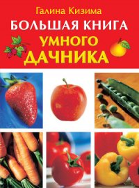 Большая книга умного дачника - Кизима Галина Александровна (лучшие книги без регистрации .TXT) 📗