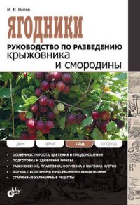 Ягодники. Руководство по разведению крыжовника и смородины - Рытов Михаил В. (читать бесплатно полные книги txt) 📗