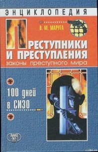 Преступники и преступления. Законы преступного мира. 100 дней в СИЗО - Маруга Валерий Михайлович (книги онлайн полные версии txt) 📗