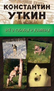Кинология. Всё о собаках и хозяевах - Уткин Константин Александрович (читать книги полные .TXT) 📗