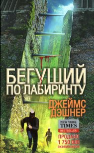 Бегущий по лабиринту - Дашнер (Дэшнер) Джеймс (список книг TXT) 📗