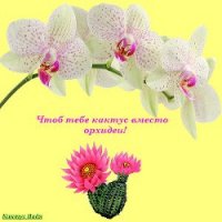 Чтоб тебе кактус вместо орхидеи! (СИ) - Кактус Надя (читать книги онлайн бесплатно полностью без .txt) 📗