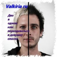 Два в одном, или переодеваться в девушку опасно (СИ) - "Valkiria Ru" (онлайн книги бесплатно полные txt) 📗