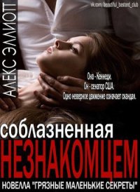 Соблазненная незнакомцем (ЛП) - Эллиотт Алекс (книги бесплатно без регистрации полные .txt) 📗