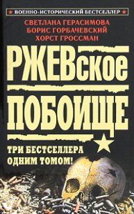 Ржевская мясорубка. Время отваги. Задача — выжить! - Горбачевский Борис (электронные книги без регистрации .txt) 📗