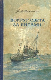 Вокруг света за китами - Зенкович Борис Александрович (полная версия книги .txt) 📗