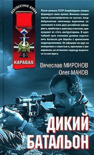 Дикий батальон - Миронов Вячеслав Николаевич (читать хорошую книгу полностью .TXT) 📗
