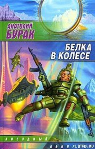 Белка в колесе - Бурак Анатолий (бесплатные онлайн книги читаем полные TXT) 📗