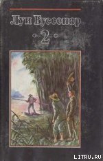 Охотники за каучуком - Буссенар Луи Анри (книги онлайн полностью .txt) 📗