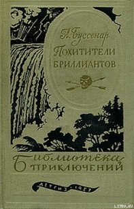 Похитители бриллиантов - Буссенар Луи Анри (книги без регистрации бесплатно полностью сокращений .TXT) 📗