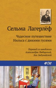 Чудесное путешествие Нильса с дикими гусями - Лагерлеф Сельма Оттилия Ловиса (книги онлайн полностью бесплатно TXT) 📗