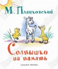 Солнышко на память - Пляцковский Михаил (читать бесплатно полные книги .txt) 📗