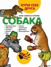Купи себе друга: собака - Сучкова Анна (книги бесплатно без онлайн txt) 📗