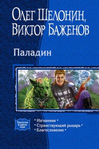 Паладин. (Трилогия) - Шелонин Олег Александрович (книги онлайн читать бесплатно .TXT) 📗