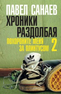 Хроники Раздолбая - Санаев Павел Владимирович (читать книги txt) 📗