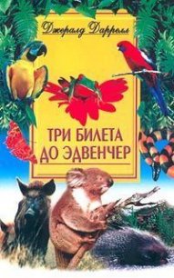 Три билета до Эдвенчер - Даррелл Джеральд (е книги .TXT) 📗