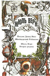 Вторая родина - Верн Жюль Габриэль (книги бесплатно полные версии TXT) 📗