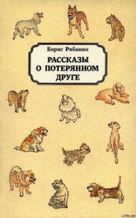 Рассказы о потерянном друге - Рябинин Борис Степанович (читать книги онлайн полностью без регистрации .txt) 📗