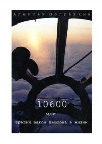 10600 или третий закон Ньютона в жизни - Поправкин Алексей (читать полные книги онлайн бесплатно .txt) 📗