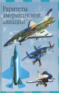 Раритеты американской авиации - Кудишин Иван Владимирович (читать книги бесплатно полностью без регистрации сокращений txt) 📗