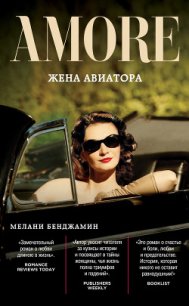 Жена авиатора - Бенджамин Мелани (книги бесплатно без .txt) 📗