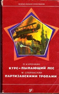 Курс — пылающий лес. Партизанскими тропами - Курочкин Петр Миронович (читать полные книги онлайн бесплатно .txt) 📗