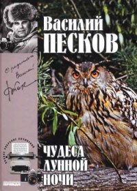 Полное собрание сочинений. Том 15. Чудеса лунной ночи - Песков Василий Михайлович (книги бесплатно без регистрации TXT) 📗