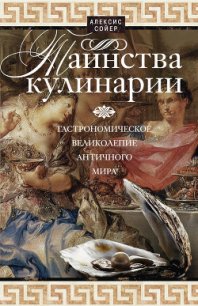 Таинства кулинарии. Гастрономическое великолепие Античного мира - Сойер Алексис Бенуа (электронную книгу бесплатно без регистрации TXT) 📗