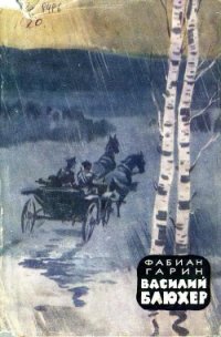 Василий Блюхер. Книга 1 - Гарин Фабиан Абрамович (читать книги полностью без сокращений бесплатно .txt) 📗