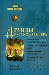 Друиды Русского Севера - Лазарев Евгений Сергеевич (книга жизни TXT) 📗