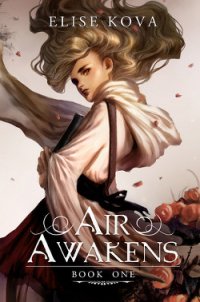 Air Awakens - Kova Elise (книги регистрация онлайн бесплатно txt) 📗