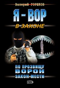 Закон мести - Горшков Валерий Сергеевич (книга регистрации .TXT) 📗