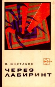 Через лабиринт. Два дня в Дагезане - Шестаков Павел Александрович (книги без регистрации полные версии TXT) 📗