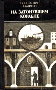 На затонувшем корабле - Бадигин Константин Сергеевич (читаем книги онлайн бесплатно без регистрации .TXT) 📗